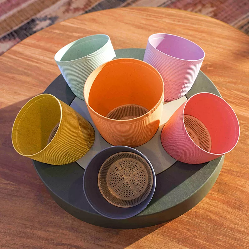 Chậu trồng cây tròn trồng cây sinh thái