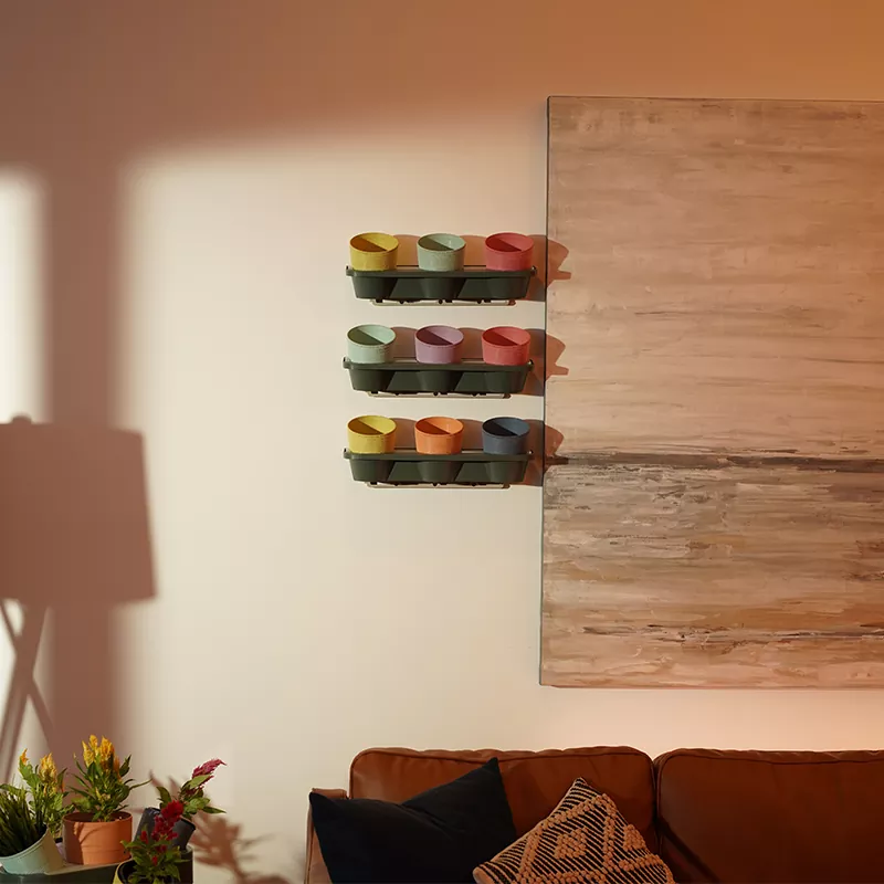 Chậu hoa vườn thẳng đứng làm vườn sinh thái