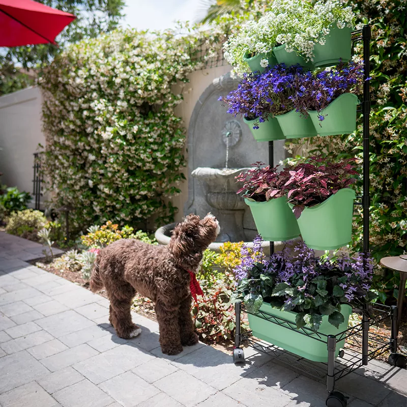 Khung đôi tường xanh di động bằng kim loại