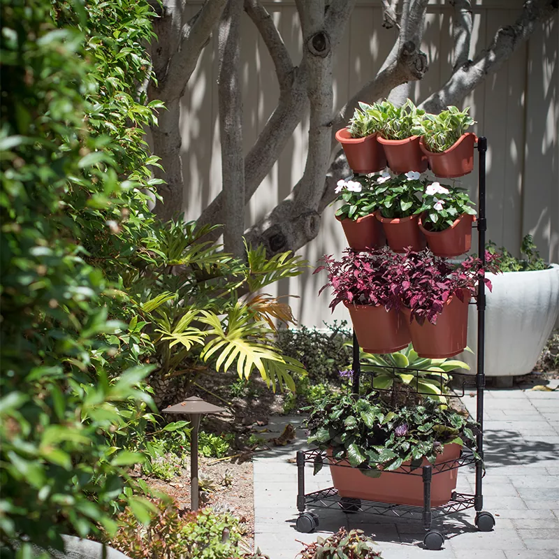 Chậu trồng cây treo tường xanh di động bằng kim loại Khung đơn